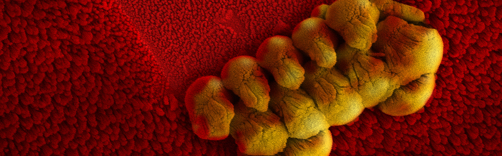 microscopic image of nanotechnology